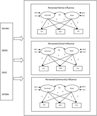 Examining changes of adolescent physical habitus—a retrospective study of physical capital networks